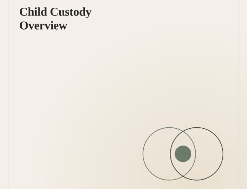 Child Custody Overview