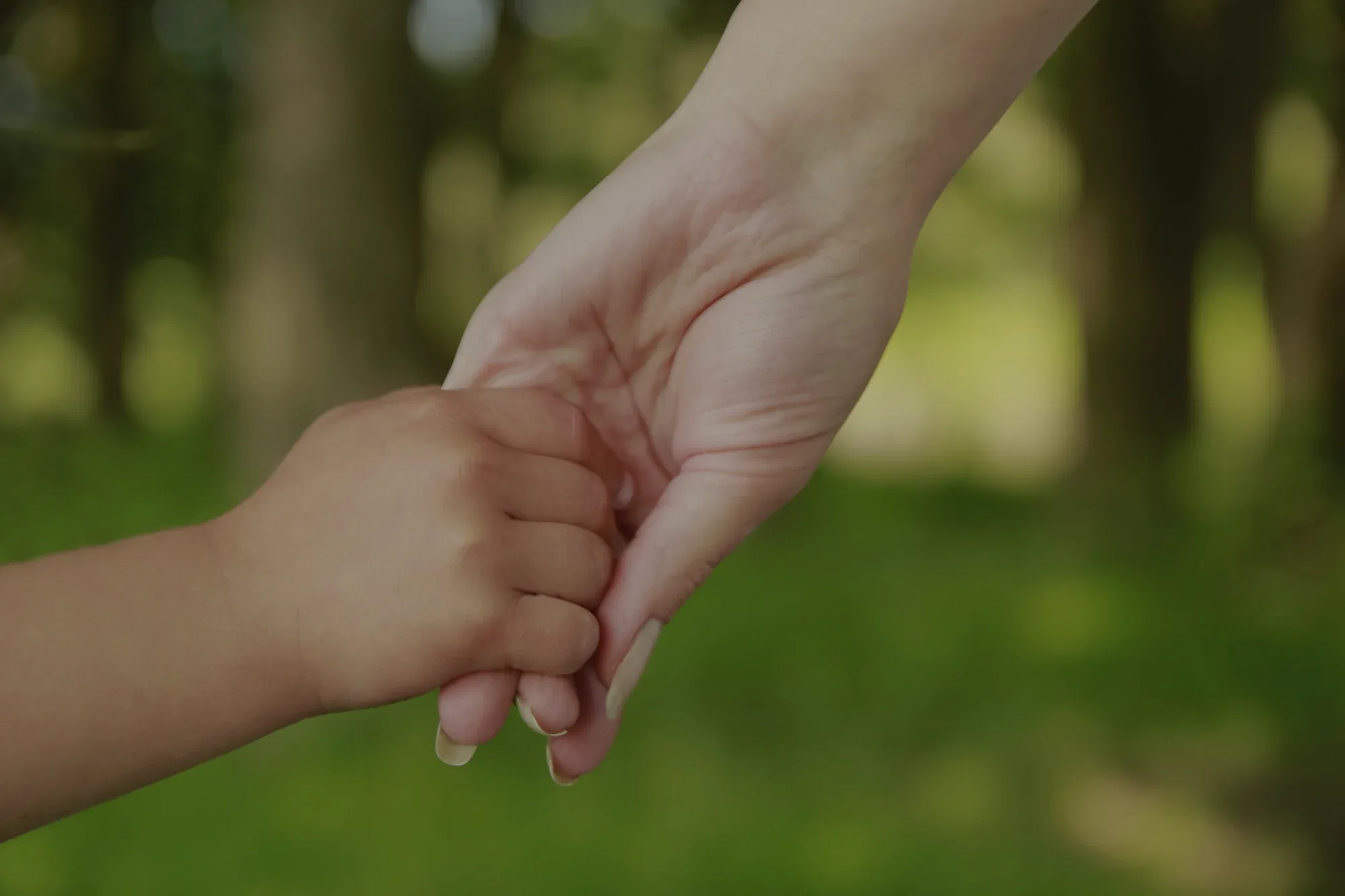 Emergency Child Custody in North Carolina